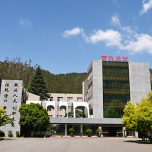 西仪股份有限公司.jpg