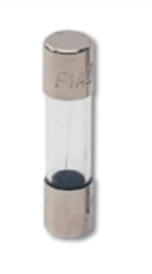 意大利ITALWEBER玻璃保险丝8A
